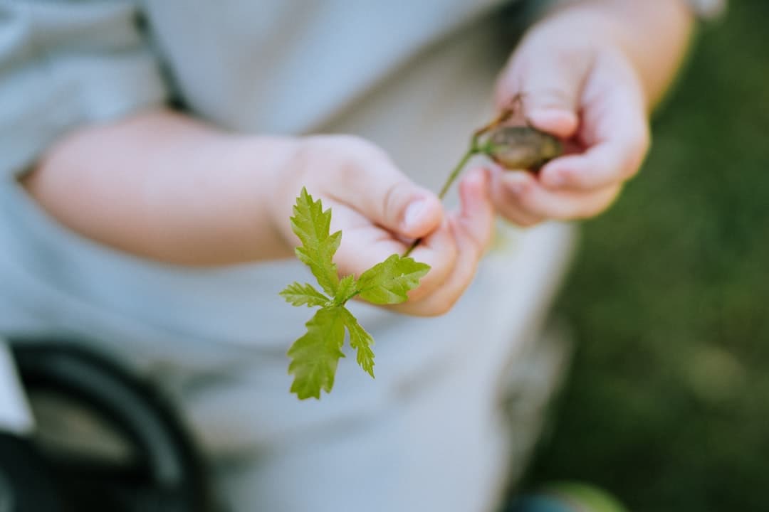 Nature play